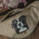 Nerka malowana Border Collie