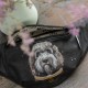 Nerka malowana Labradoodle